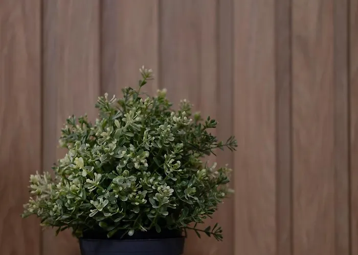 Rum i privatbostad 4 Pory Roku Nadole (Pomerania)